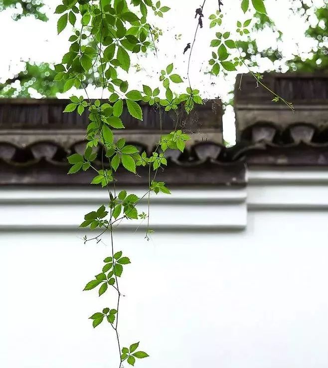 人民日报整理100个最常误用的成语,人民日报总结的常被误用的成语