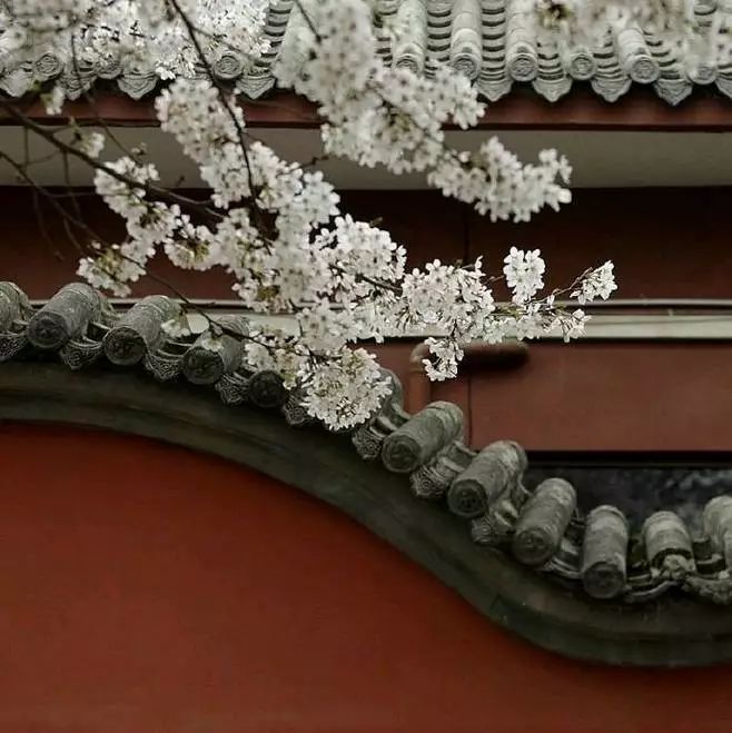 人民日报整理100个最常误用的成语,人民日报总结的常被误用的成语