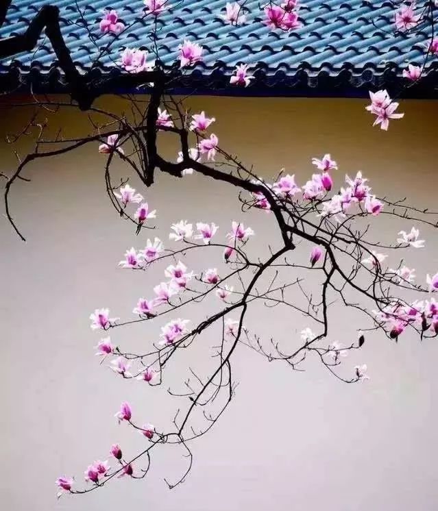 人民日报整理100个最常误用的成语,人民日报总结的常被误用的成语