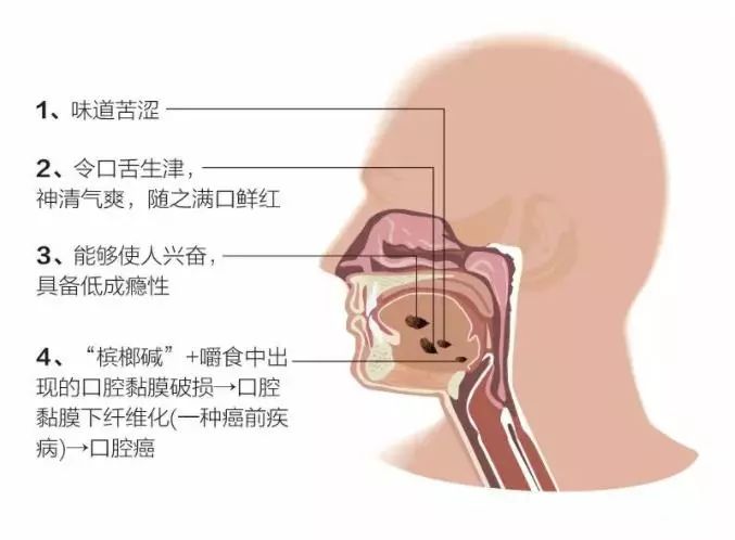 【健康】槟榔在口，精神抖擞？再见！
