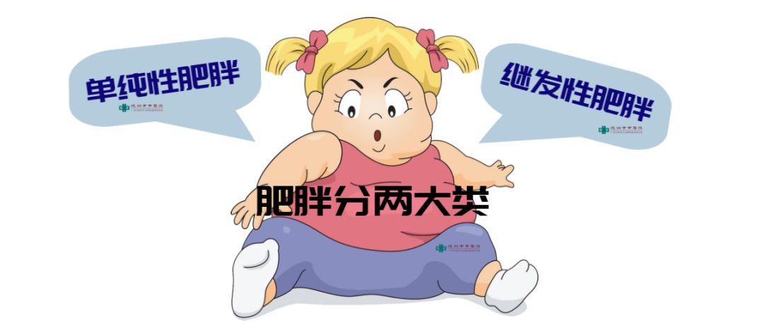 健康减肥中医怎么调理,健康减肥法