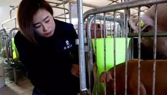 “活出职业农民的新样子!”——“80后”张凌云创业记