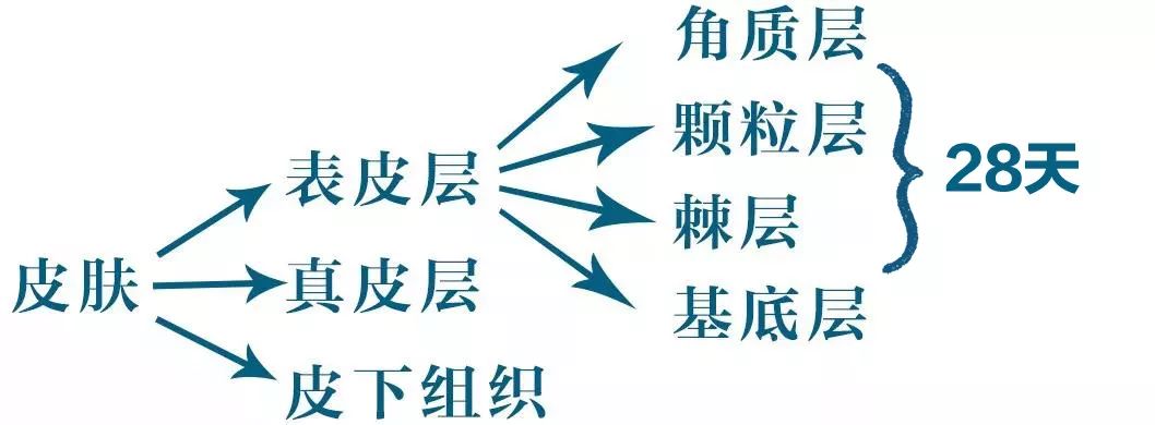 张嘉倪同款月光宝盒精华液,张嘉倪给人涂保湿美白精华液