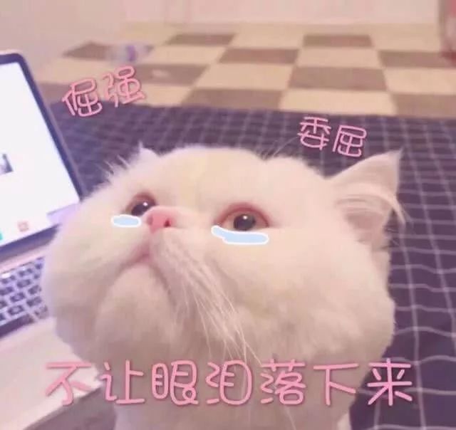 你确定自己完全准备好了吗,证明你实力的时候到了