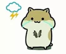 合租室友用洗衣机洗内衣,合租室友半夜洗澡洗衣服