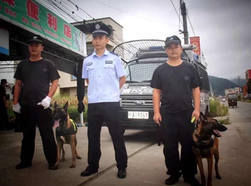 钱塘区打击治理电信网络诈骗,打击电信网络诈骗警情通报