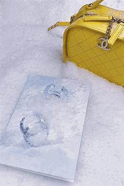 别哭|更美的香奈儿会继续...