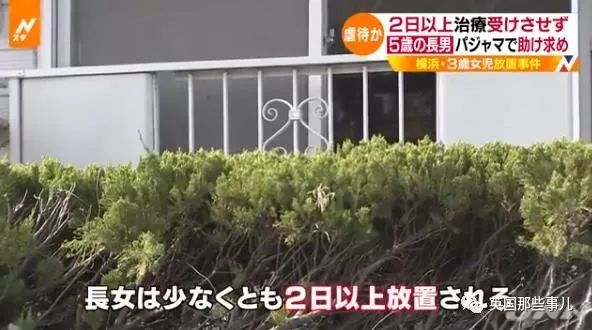 变态虐童事件真实案例,网上虐童事件