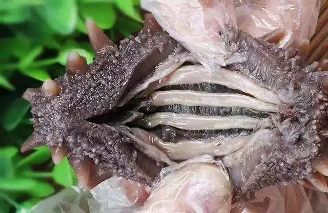 早上空腹吃它是“百补之王”补肝强肾、延年益寿,现在知道还不晚……