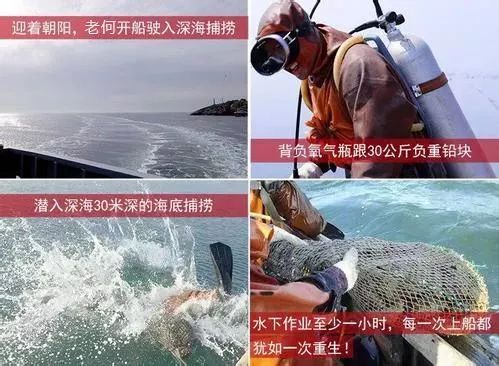 早上空腹吃它是“百补之王”补肝强肾、延年益寿,现在知道还不晚……