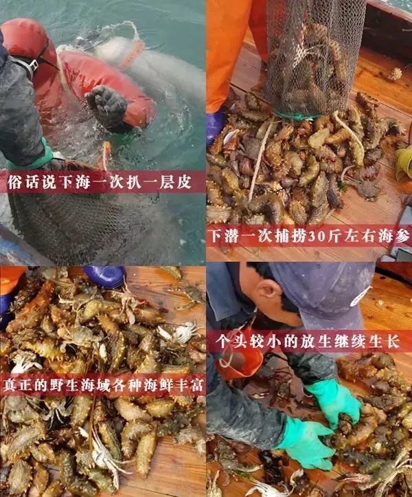 早上空腹吃它是“百补之王”补肝强肾、延年益寿,现在知道还不晚……