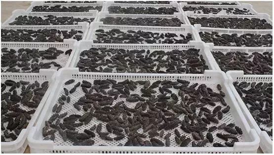 早上空腹吃它是“百补之王”补肝强肾、延年益寿,现在知道还不晚……