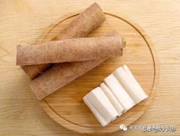 想种药材不知道选啥品种,想种药材不知道怎么卖