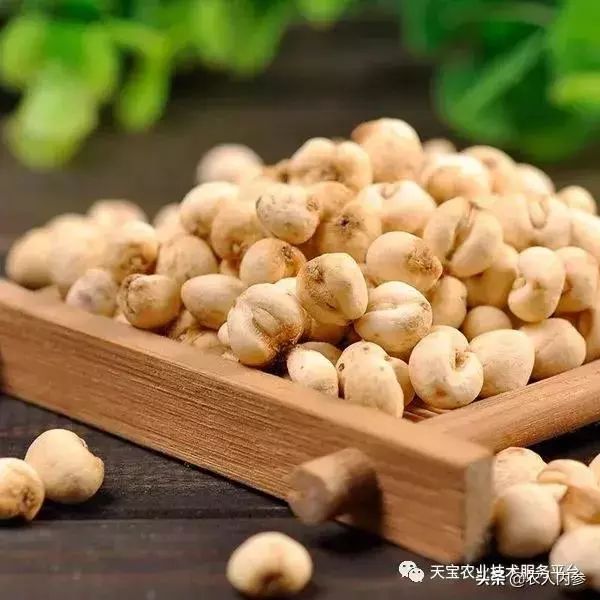 想种药材不知道选啥品种,想种药材不知道怎么卖