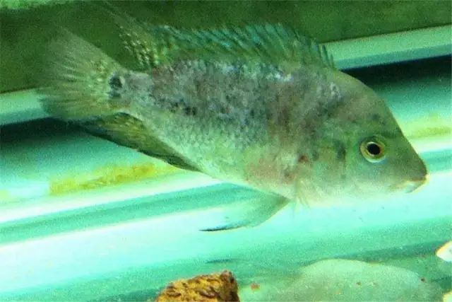 经验教训方面的收获,经验教训案例