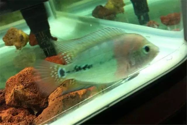 经验教训方面的收获,经验教训案例