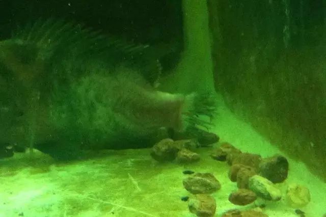 经验教训方面的收获,经验教训案例