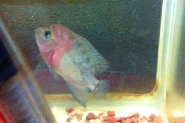 经验教训方面的收获,经验教训案例