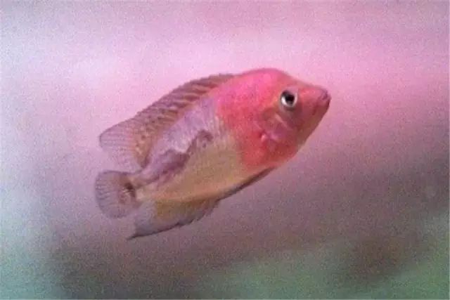 经验教训方面的收获,经验教训案例