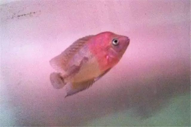 经验教训方面的收获,经验教训案例