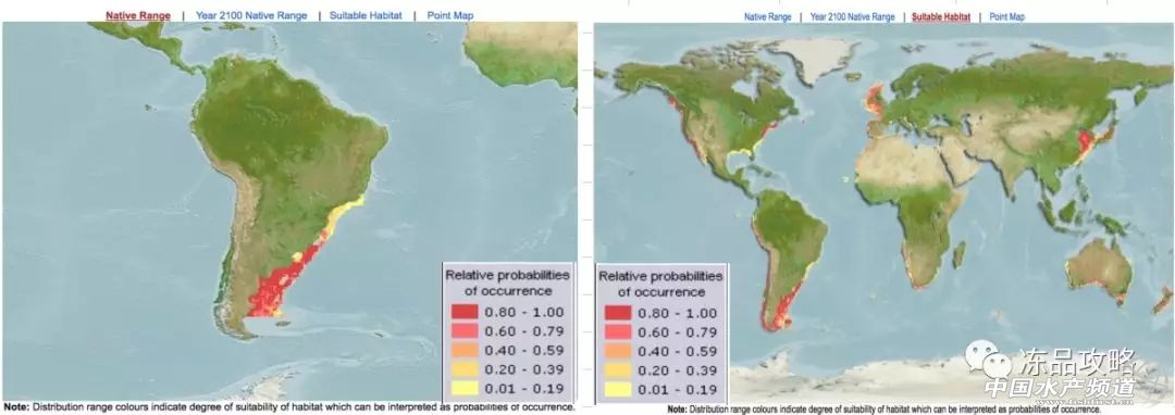 阿根廷红虾和青虾仁哪个好,阿根廷红虾有什么特别之处呢