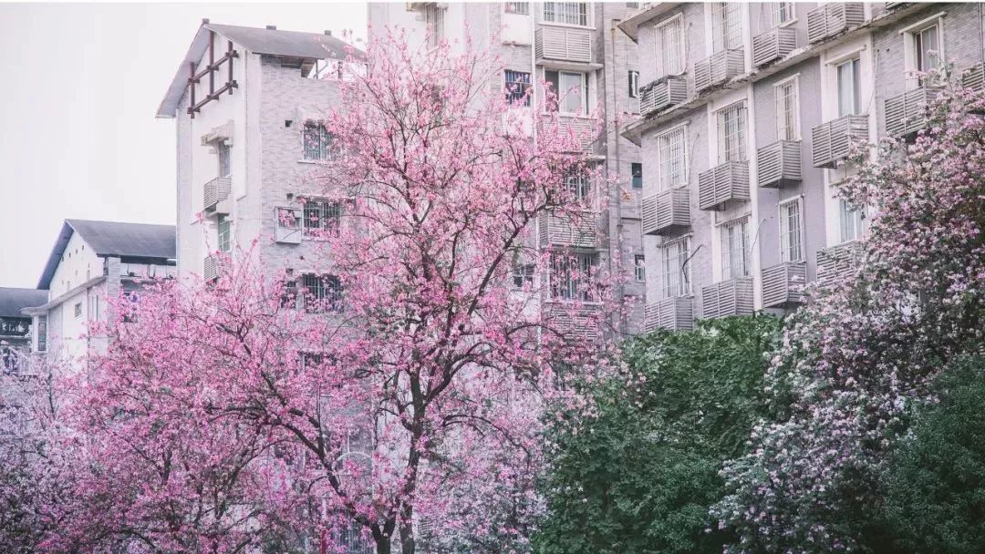 广西有座小城,广西隐藏千年小城