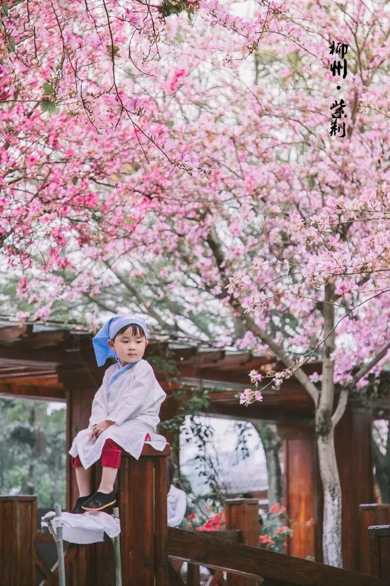 广西有座小城,广西隐藏千年小城