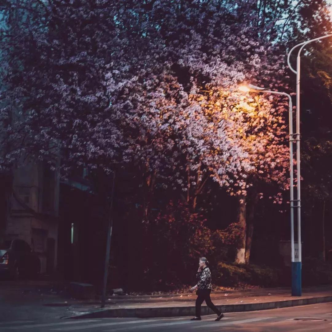 广西有座小城,广西隐藏千年小城