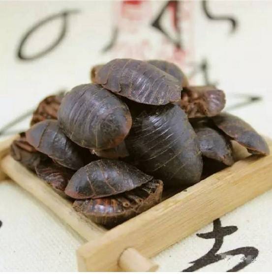 925交通广播旅游,925交通广播实时直播