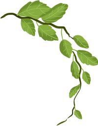 『安防课堂』农村小伙化身跨国公司“白富美”做海外“代购”