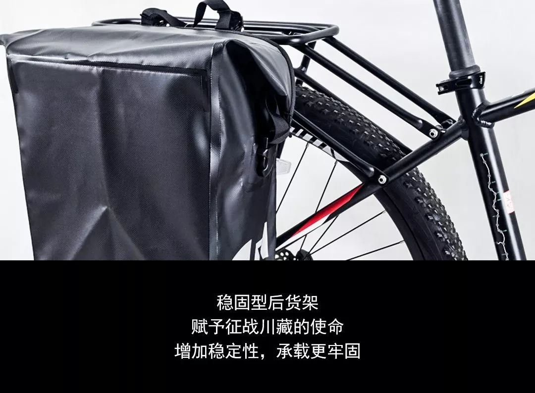 心之所向身之所往进藏,心之所向身之所往312