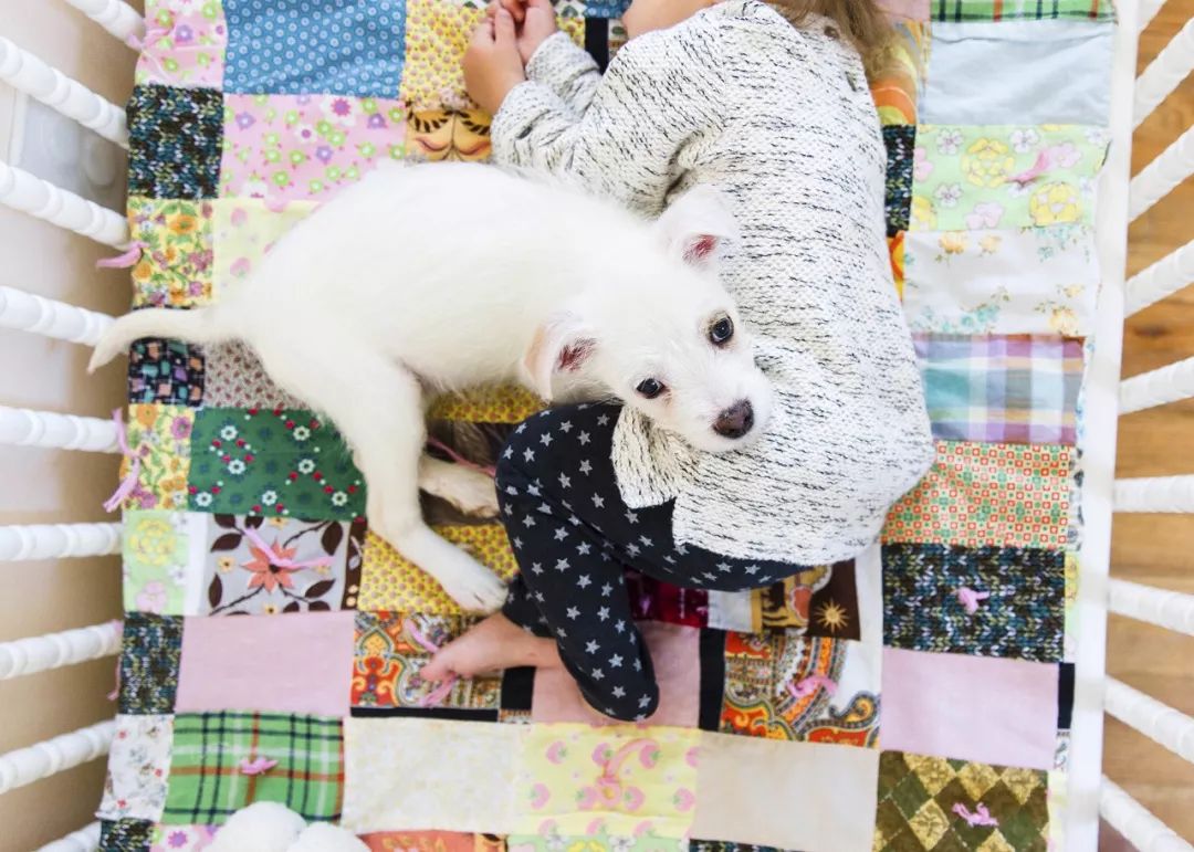 宝宝的神秘“床伴”,妈妈发现了吗?|OK!Baby宝贝健康