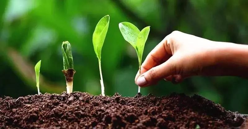 农技人员检测土壤,测土仪怎么测土壤酸碱度