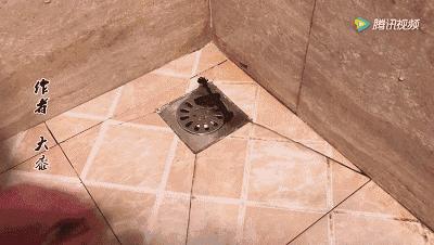 满屋子头发难清理一根皮筋搞定,满屋子都是头发怎么清理