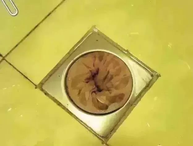 满屋子头发难清理一根皮筋搞定,满屋子都是头发怎么清理