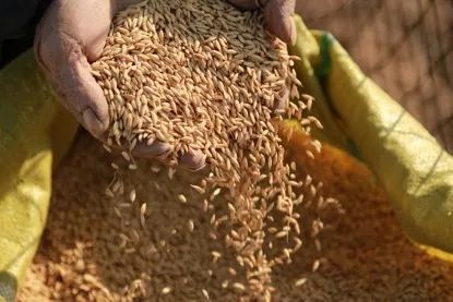 京东农业项目入驻,京东和农业合作项目