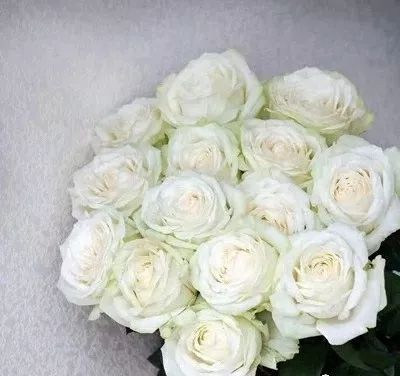 拿破仑最喜欢什么珠宝,拿破仑浪漫首饰