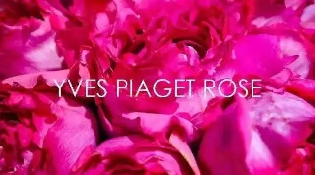 拿破仑最喜欢什么珠宝,拿破仑浪漫首饰