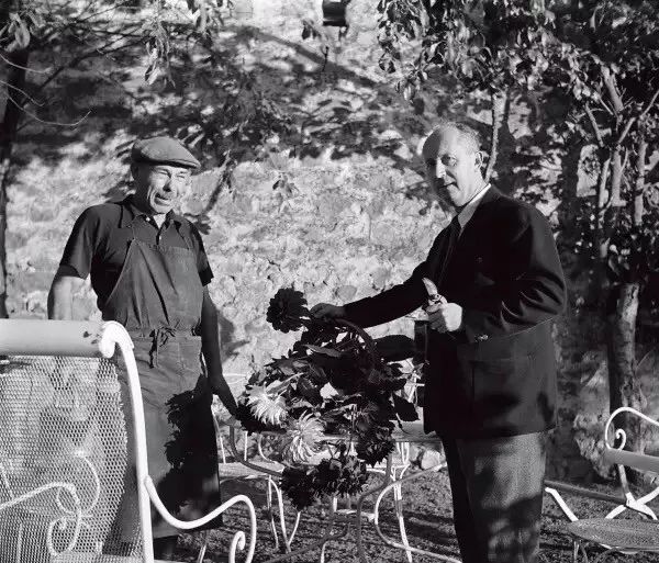 拿破仑最喜欢什么珠宝,拿破仑浪漫首饰