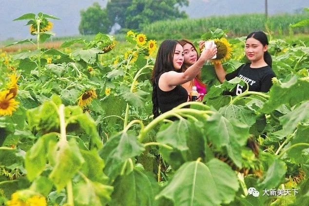 走进亲情深处,走进年味