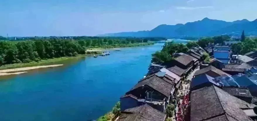 一个电话药就送到家,莲都这项工作开启新模式!