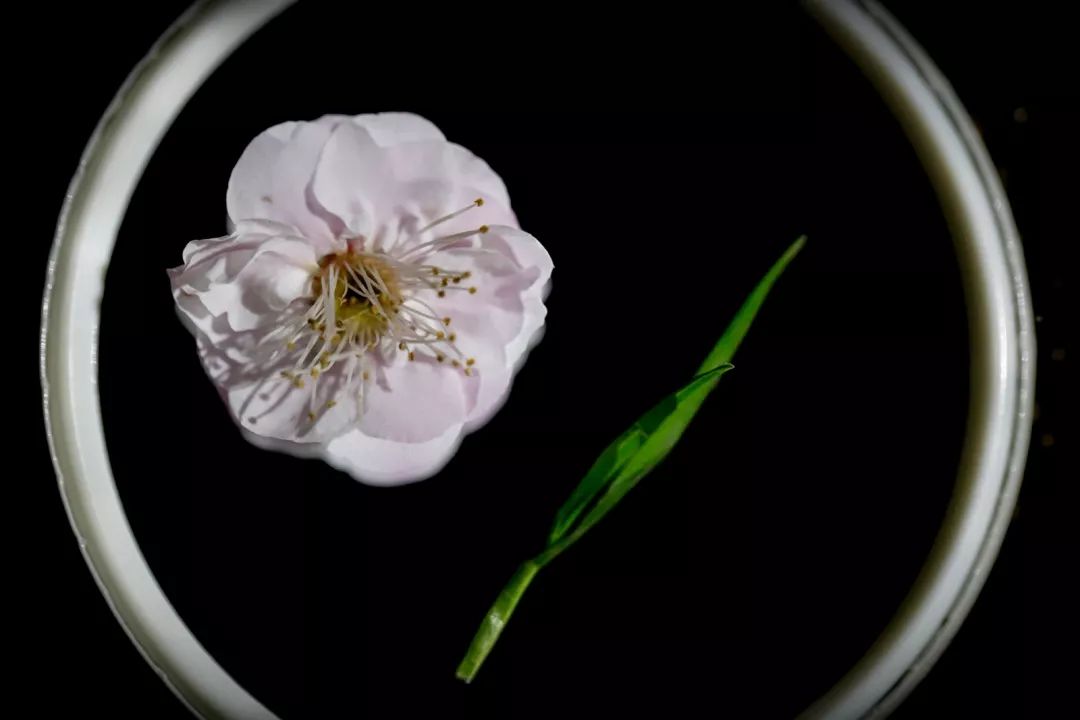 腾讯、联通、新东方都准备来华师“抢人”，本周就业讲座通知汇总，赶紧安排一下！