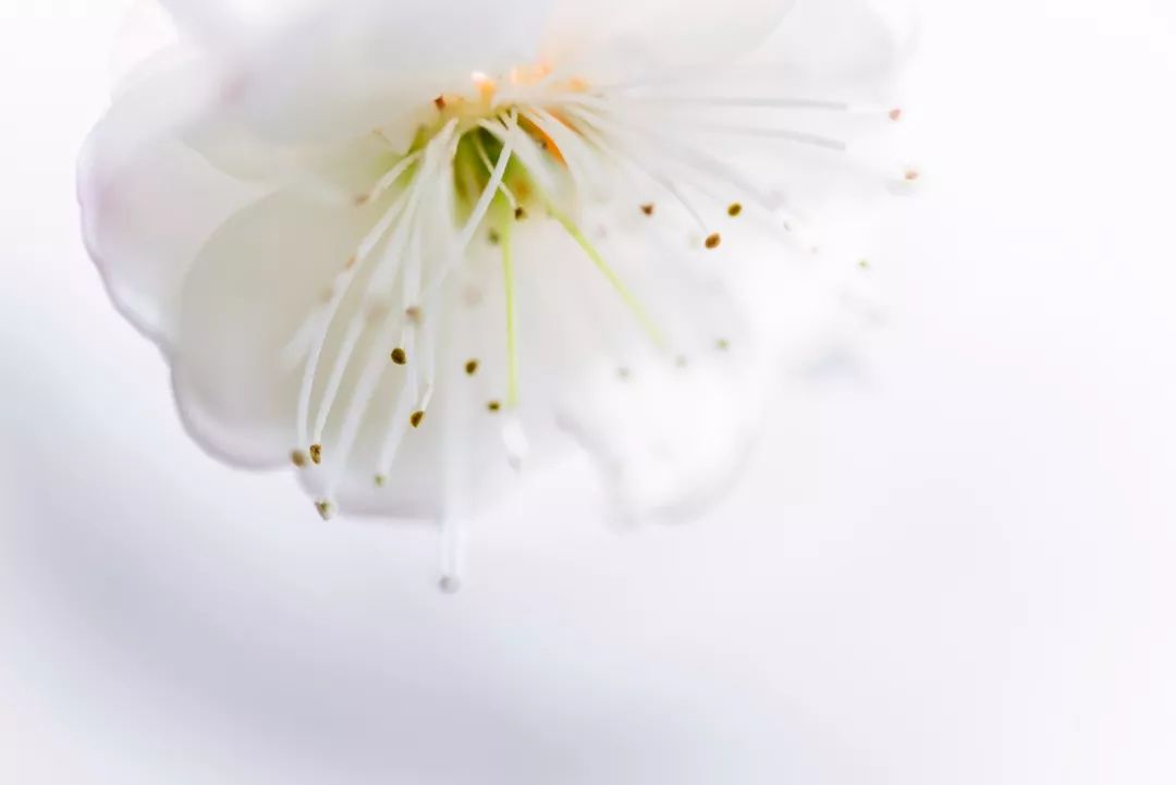 腾讯、联通、新东方都准备来华师“抢人”，本周就业讲座通知汇总，赶紧安排一下！