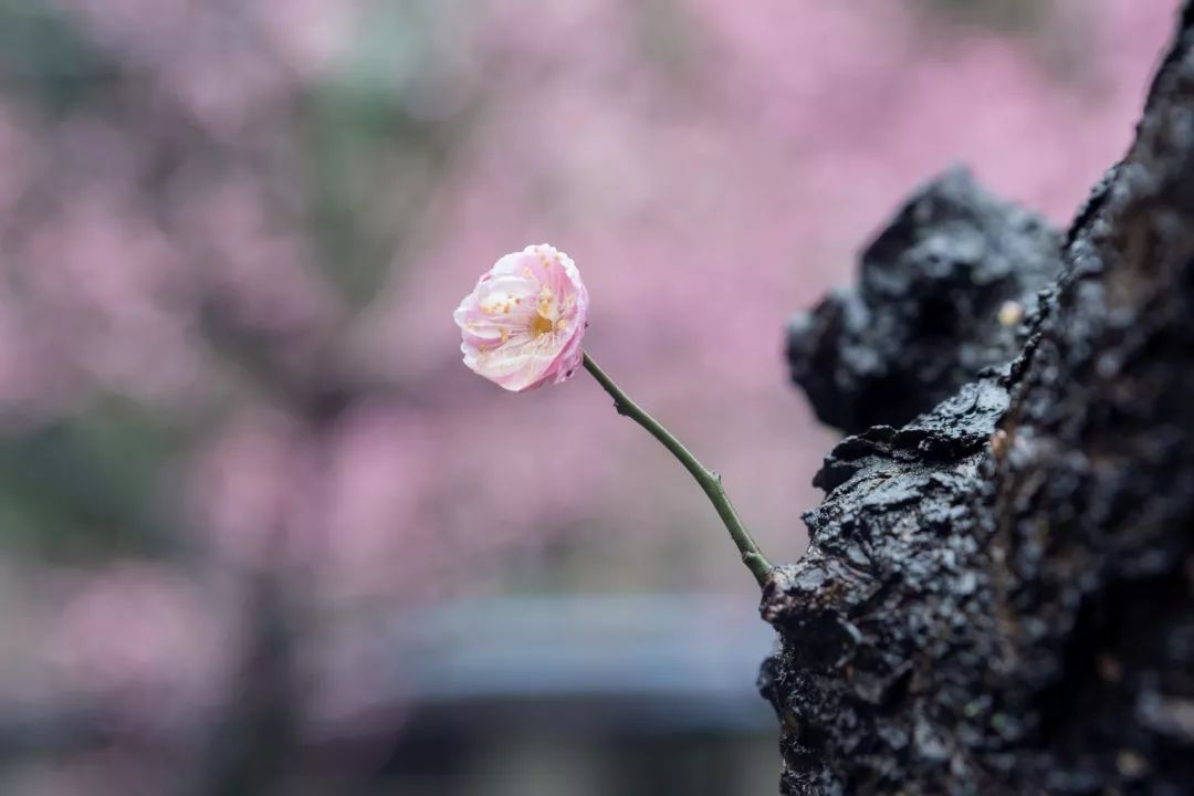 腾讯、联通、新东方都准备来华师“抢人”，本周就业讲座通知汇总，赶紧安排一下！