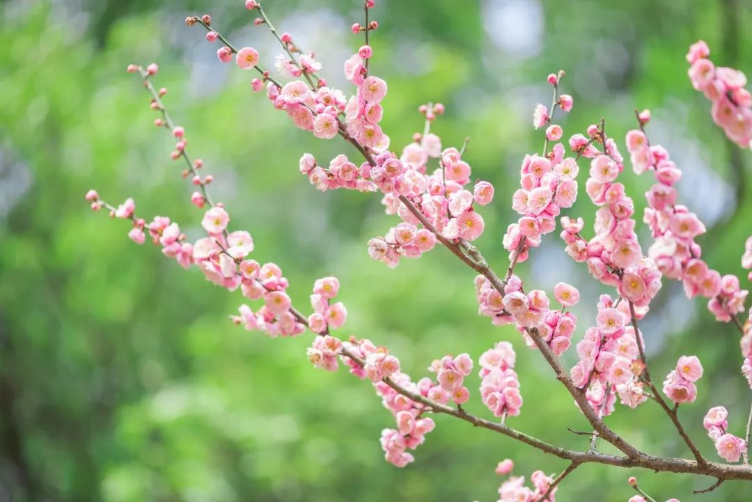 腾讯、联通、新东方都准备来华师“抢人”，本周就业讲座通知汇总，赶紧安排一下！