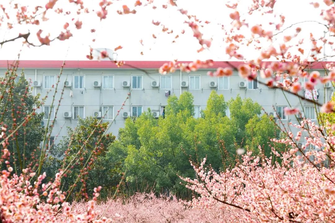 腾讯、联通、新东方都准备来华师“抢人”，本周就业讲座通知汇总，赶紧安排一下！