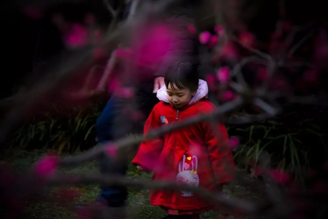 腾讯、联通、新东方都准备来华师“抢人”，本周就业讲座通知汇总，赶紧安排一下！