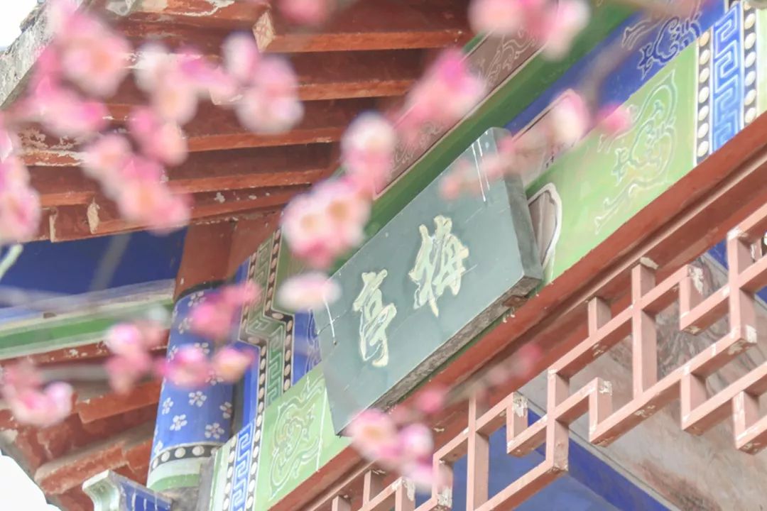 腾讯、联通、新东方都准备来华师“抢人”，本周就业讲座通知汇总，赶紧安排一下！