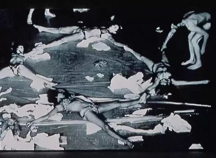 威尼斯金狮奖,卡若琳·史尼曼