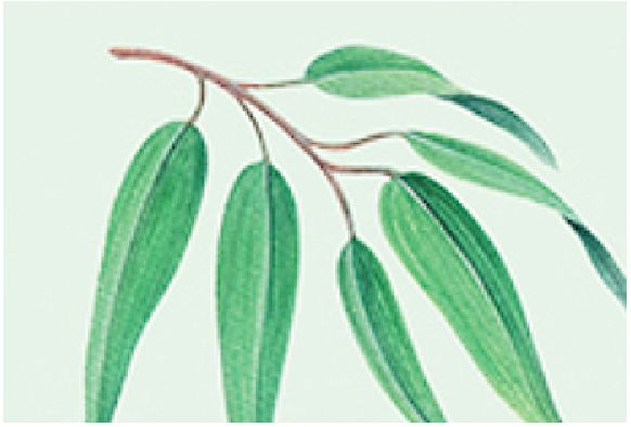 美国trukid防晒霜,防晒霜美国